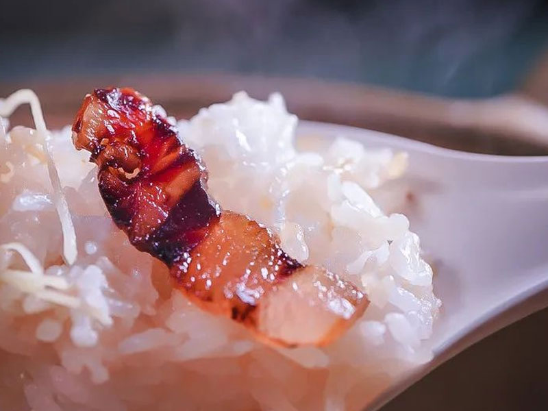 豬頭肉批發市場哪里更便宜?